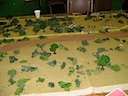 IMG_0048